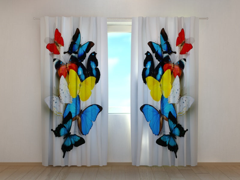 Photo Curtain Colorful Butterflies