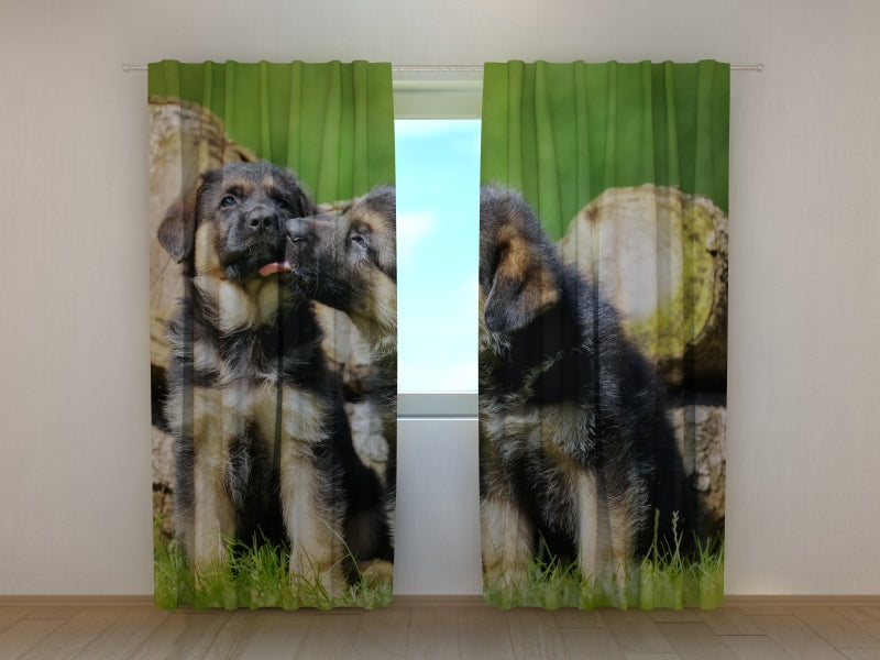 Photo Curtain Cute German Shepherd Puppies