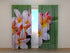 Photo Curtain Plumeria Flowers - Wellmira