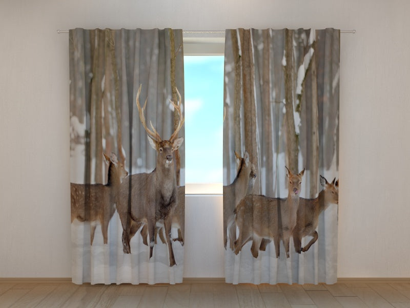 Photo Curtain Deer in Winter