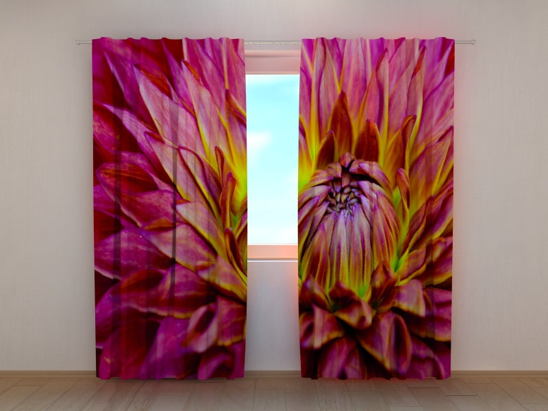 Photo Curtain Delicate Dahlia Flower