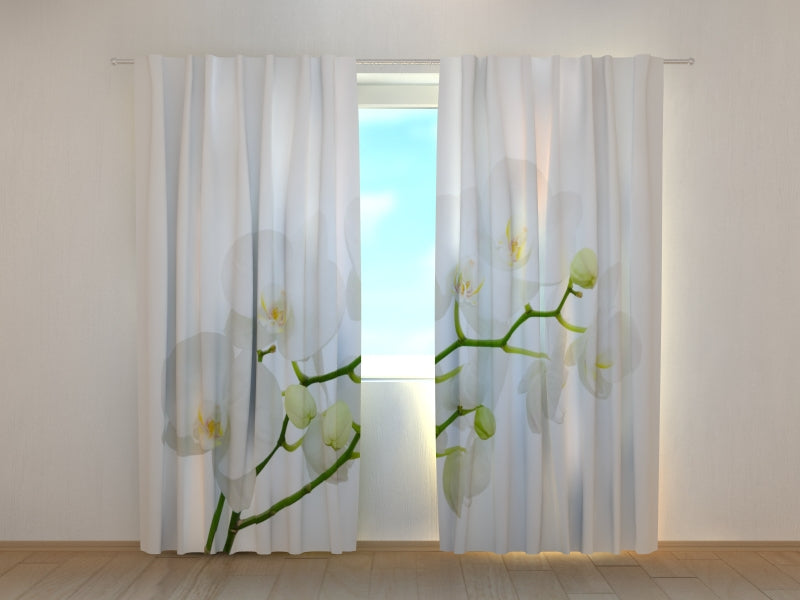 Photo Curtain Delicate White Orchid