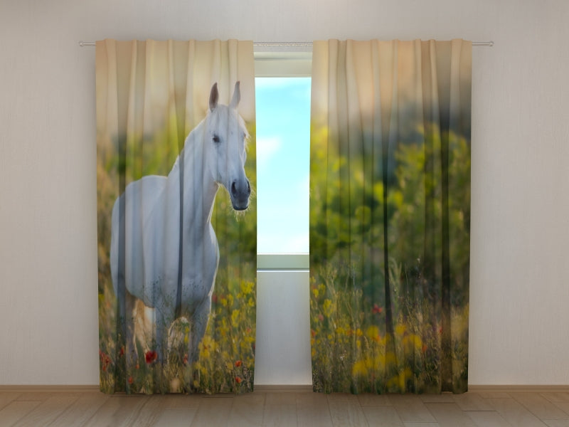 Photo Curtain Elegant White Horse