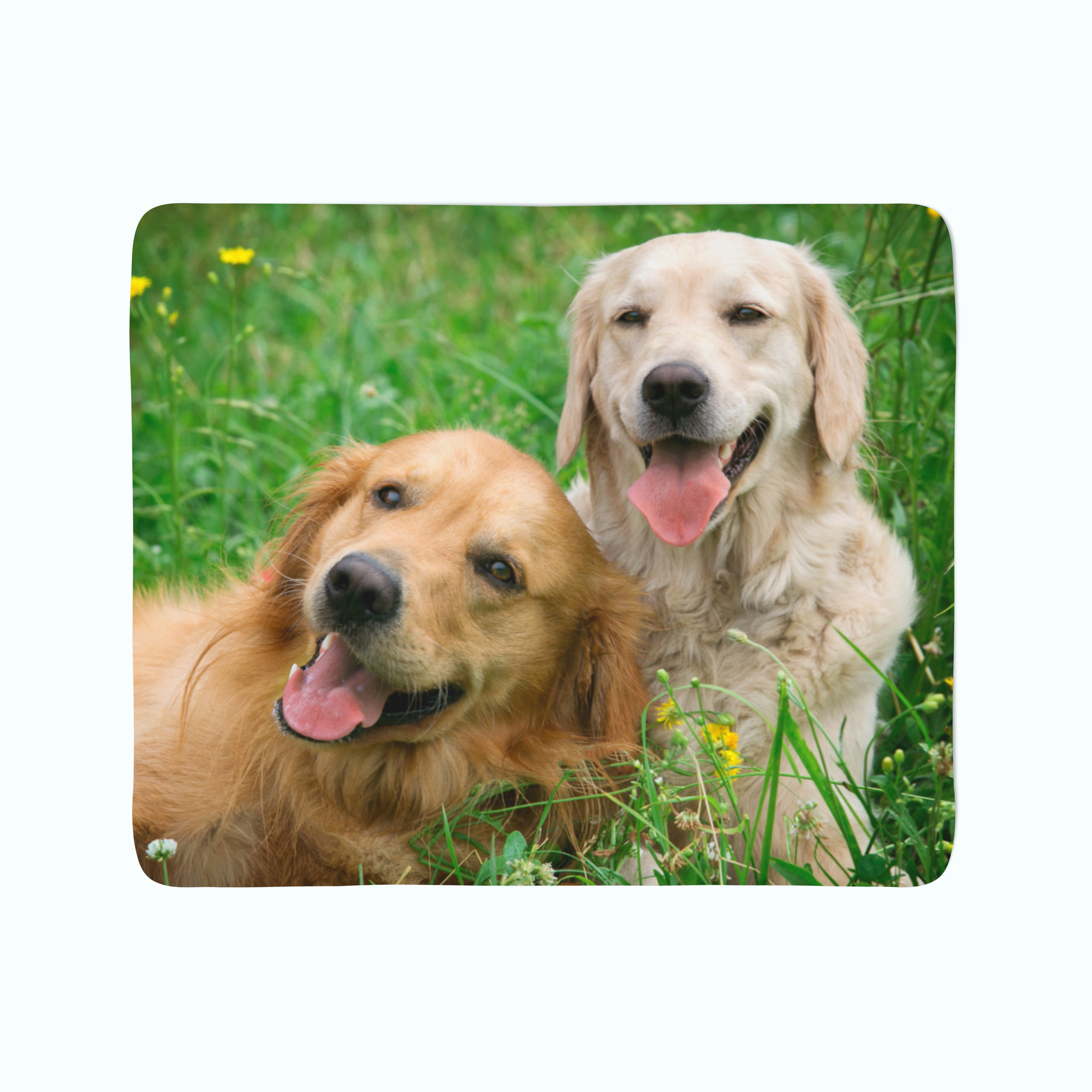 Couverture polaire Labradors Retrievers in the Meadow