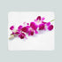 Couverture Polaire Orchidée Violet-Crimson