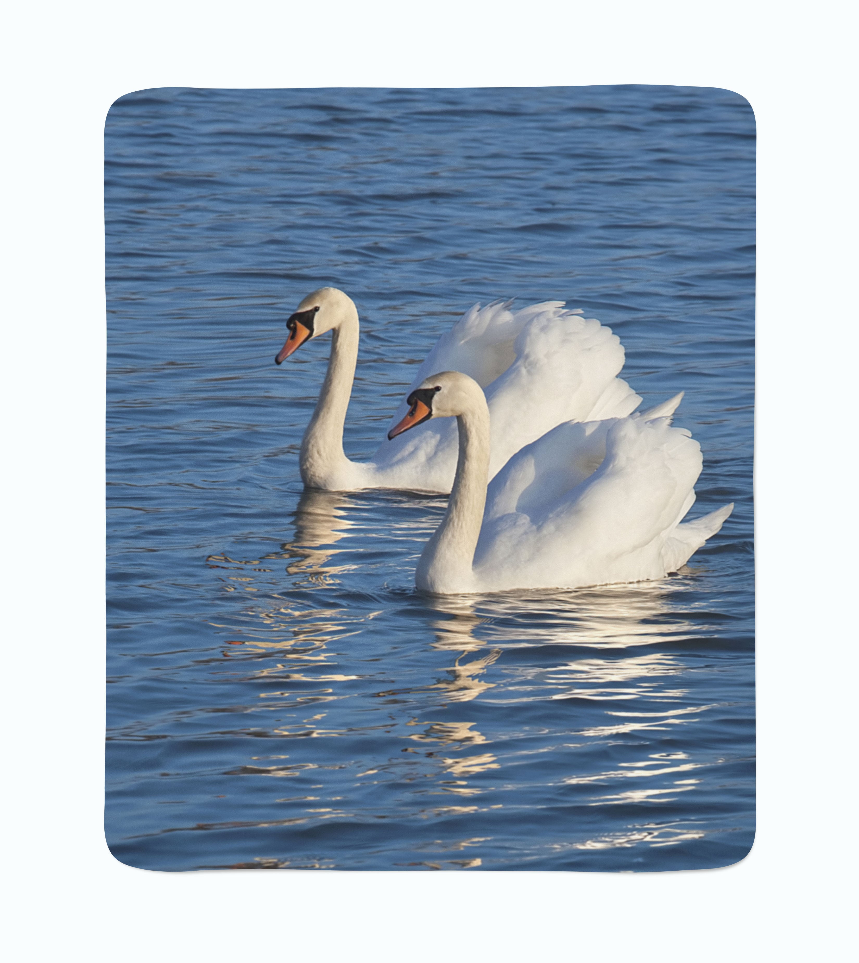 Couverture Polaire Cygnes Blancs