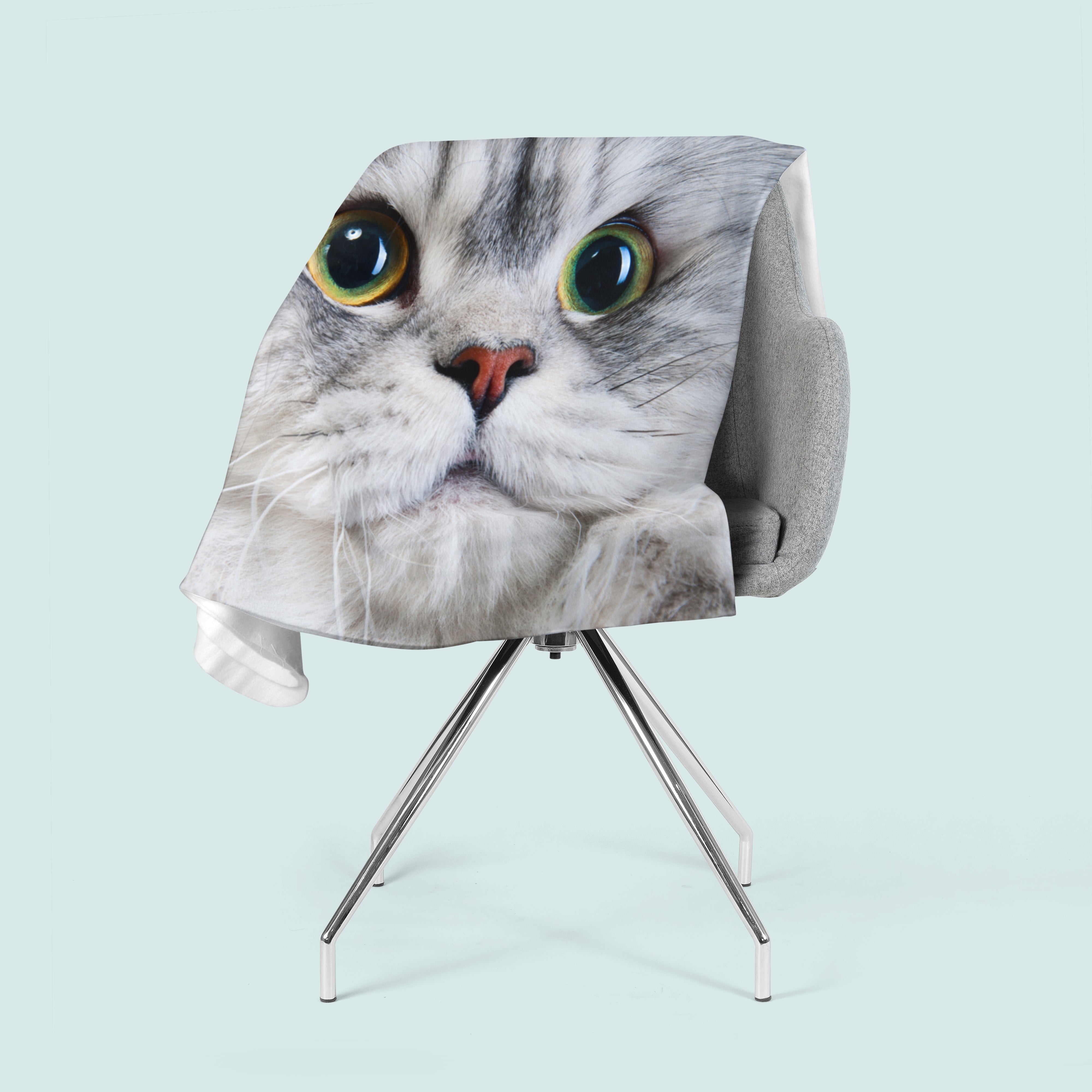 Fleece Blanket Gray Cat