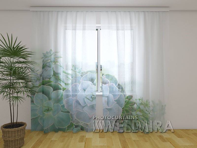 Photo Net Curtain Green Succulent Plants - Wellmira