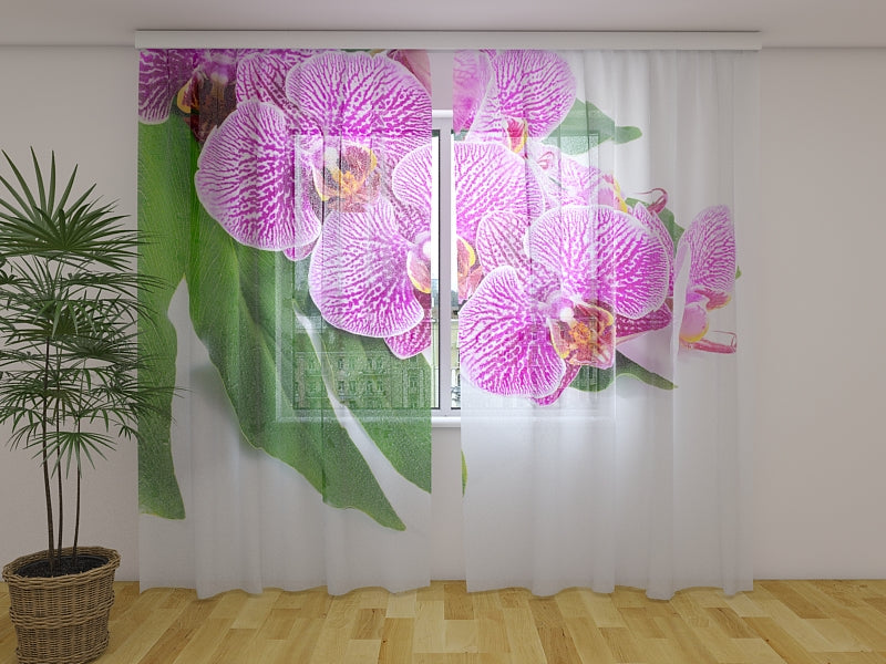 Photo Curtain Violet Orchid on a Green Leaf