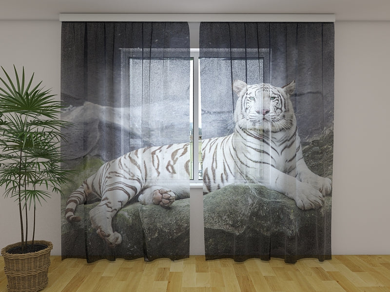 Photo Curtain White Tiger on a Rock
