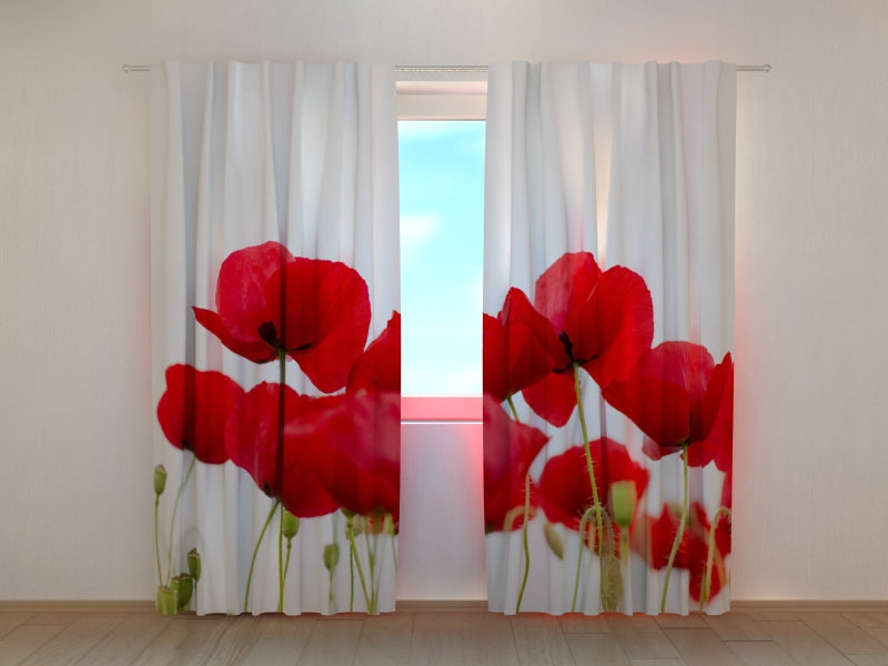 Rideau photo coquelicots rouges frais