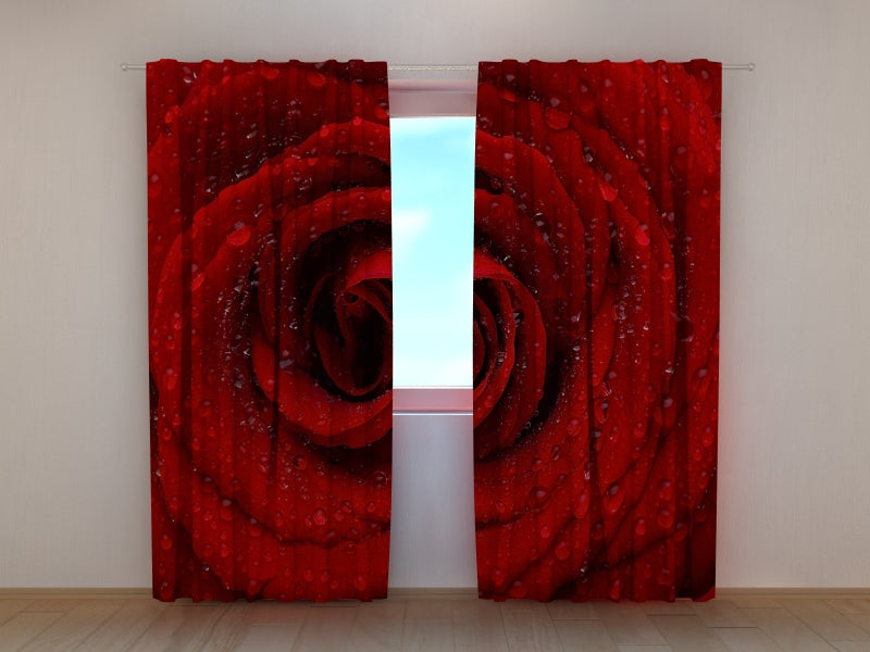 Photo Curtain Fresh Red Rose