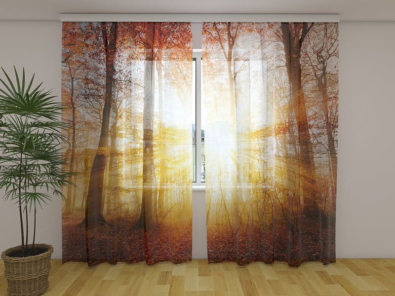 Rideau photo Belle lumière du soleil d'automne dans une forêt