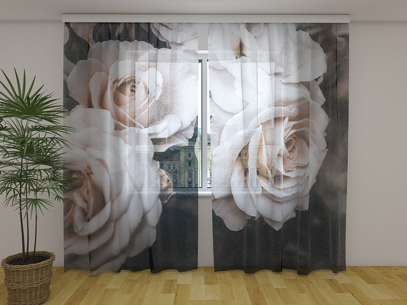 Fotocortina Hermosas rosas pastel en el jardín