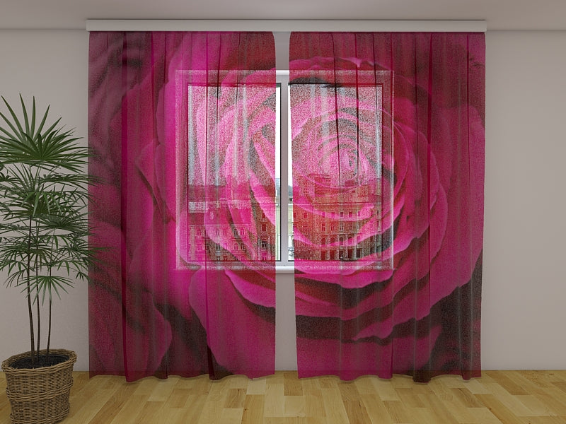 Rideau Photo Grande Rose Pourpre