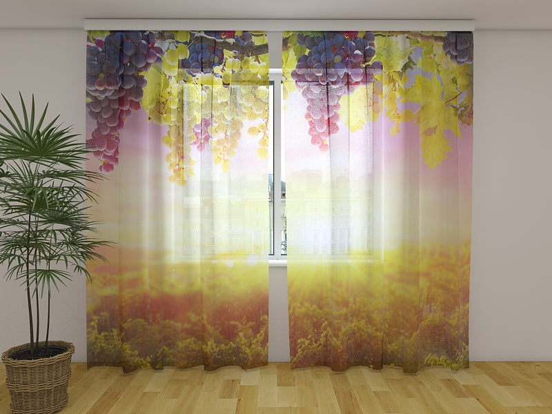 Rideau photo Grappes de raisin au soleil d'été