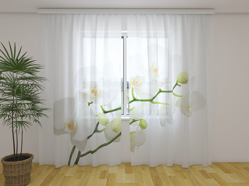 Photo Curtain Delicate White Orchid