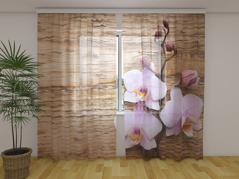 Photo Curtain Delightful Orchid on the Wood