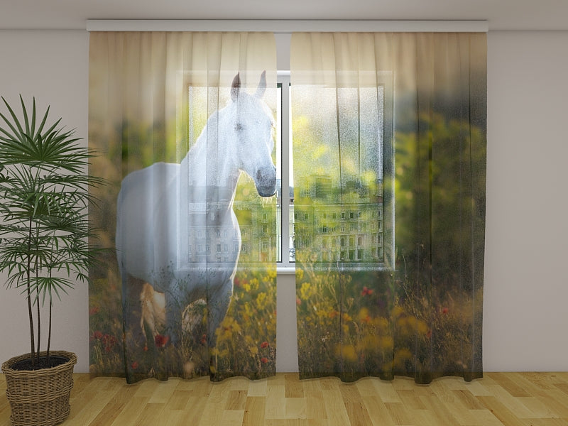 Photo Curtain Elegant White Horse