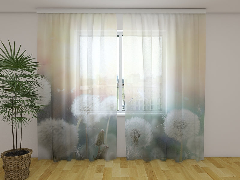 Photo Curtain Field of Dandelions in the Sunset