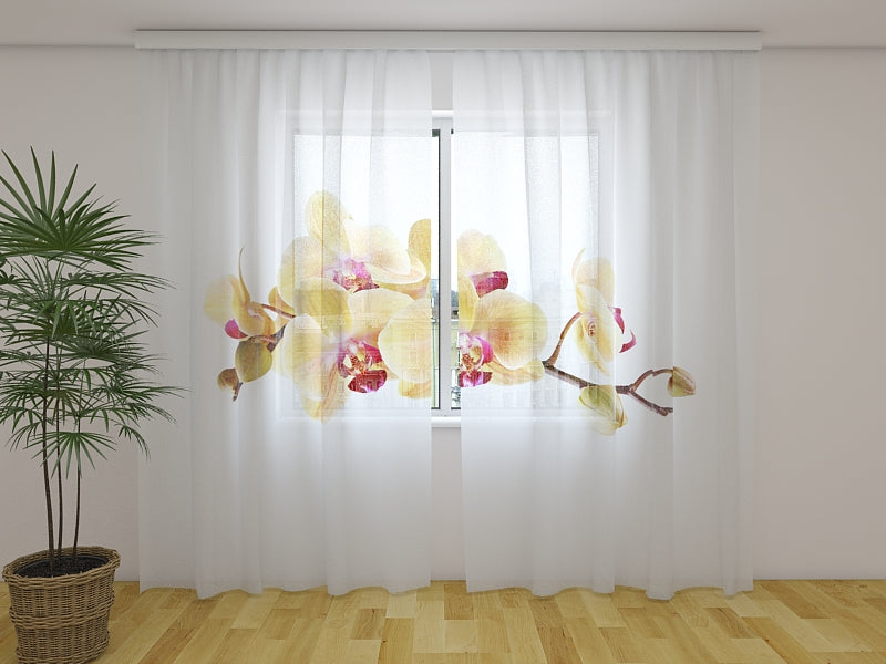 Photo Curtain Golden Orchid on White