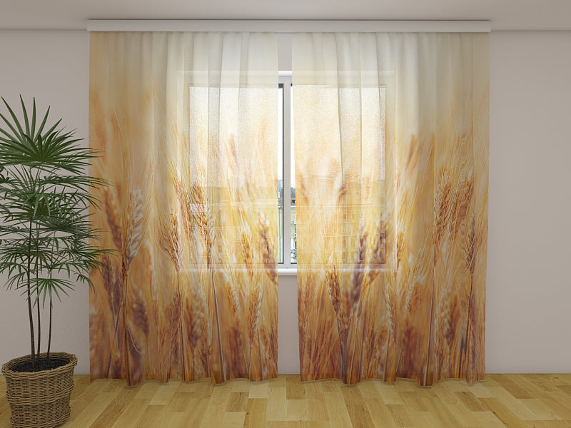 Photo Curtain Golden Wheat Field