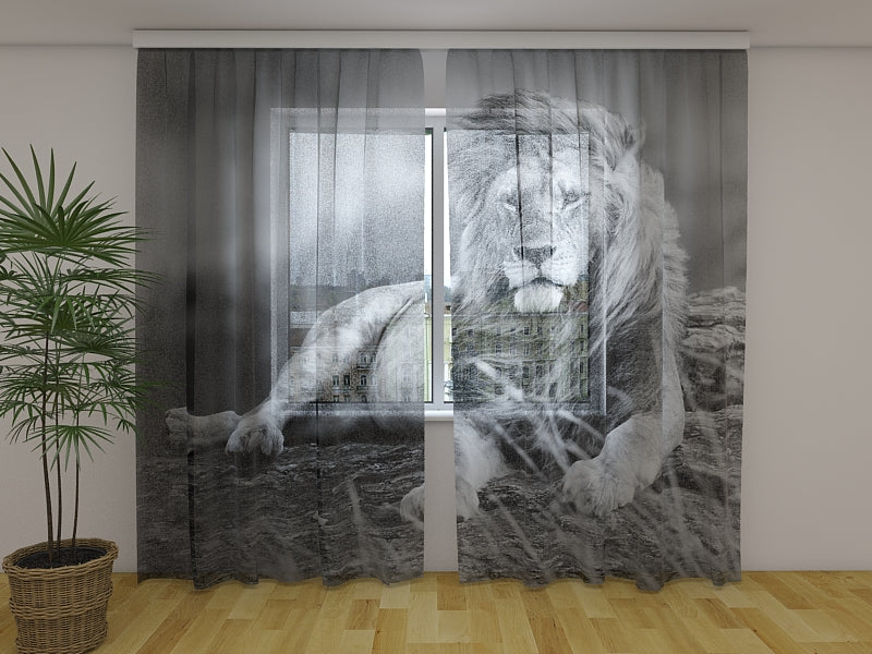 Rideau photo Puissant Lion