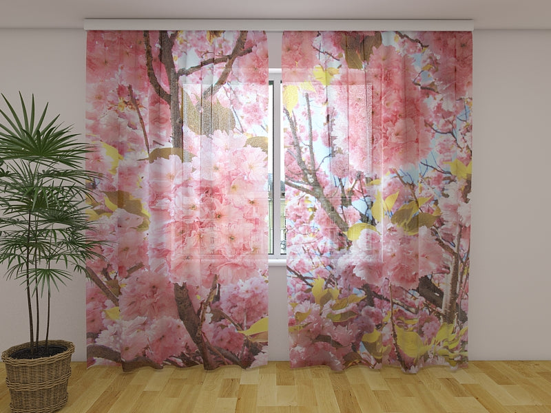 Rideau Photo Rose Sakura