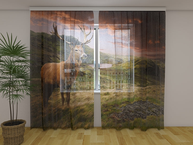 Photo Curtain Red Deer at Sunset