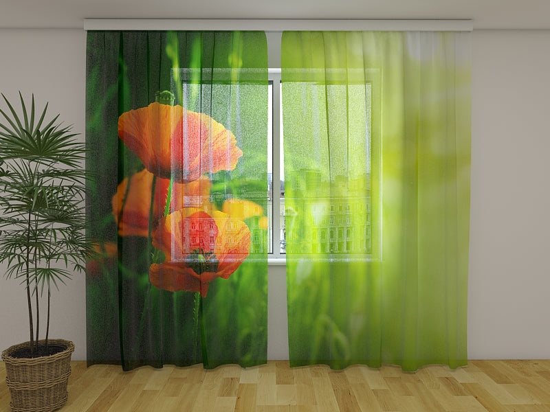 Photo Curtain Red Poppies in Green Field