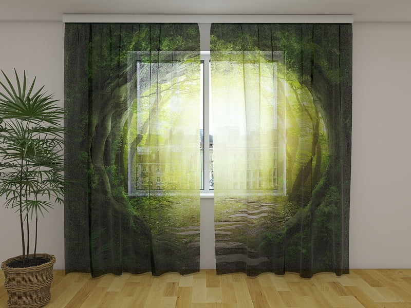 Route du rideau de photos vers la forêt magique