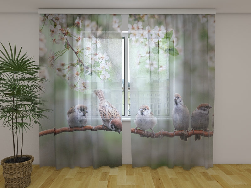 Photo Curtain Small Birds on a Blooming Tree
