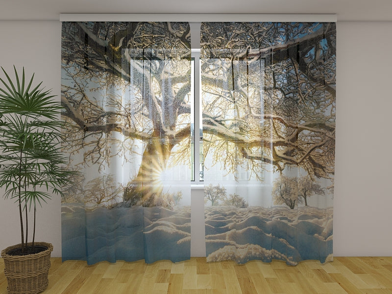 Photo Curtain Snow Covered Tree