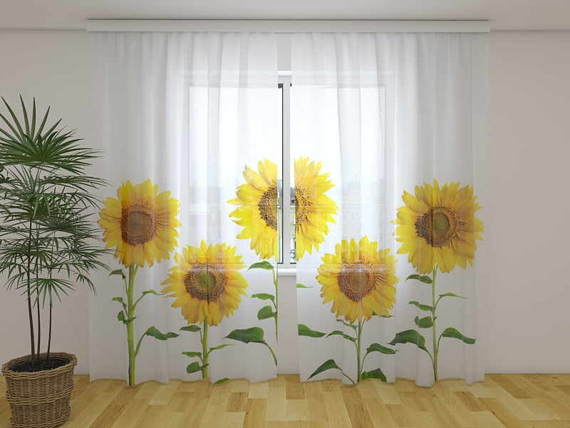 Rideau photo Tournesols jaunes d'été