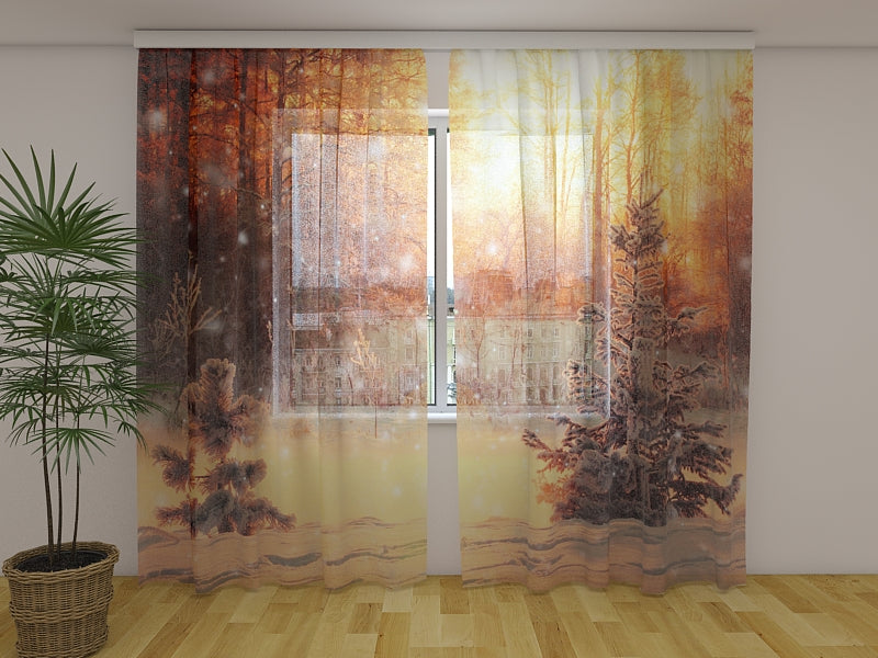 Photo Curtain Sunny Christmas Evening in the Forest