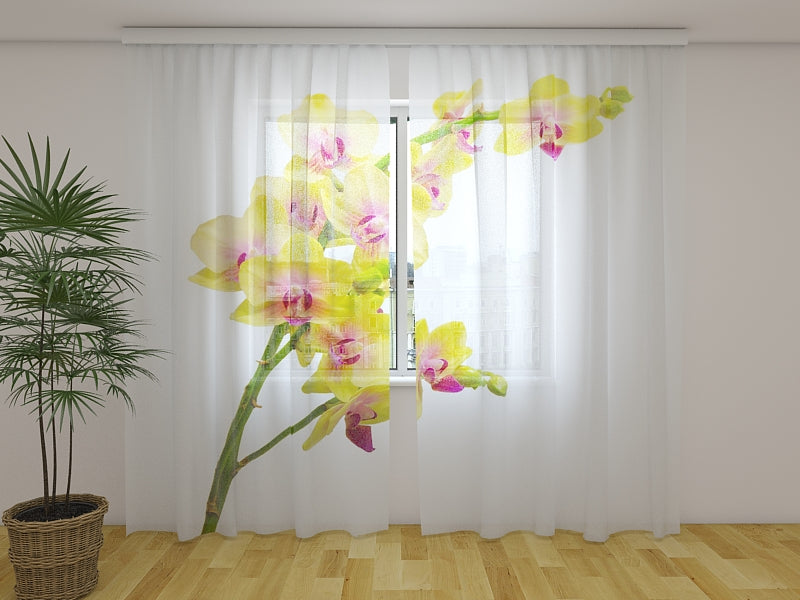 Photo Curtain Sunny Orchid 2