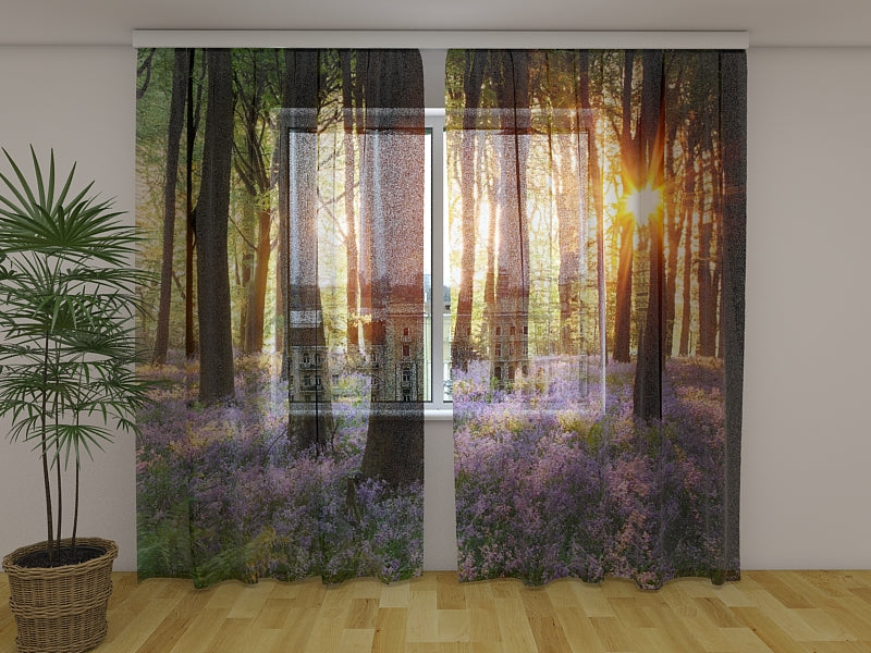 Photo Curtain Sunrise in the Beautiful Spring Forest