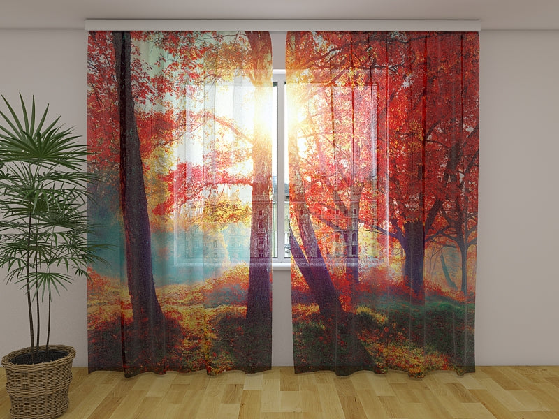 Photo Curtain Sunshine in the Red Autumn Forest