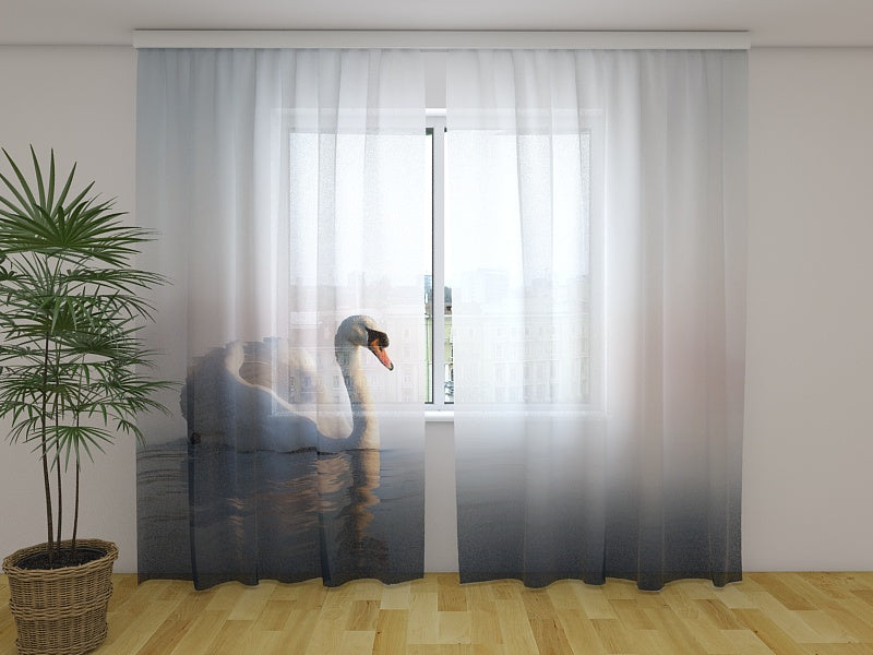 Rideau photo Cygne flottant au lever du soleil