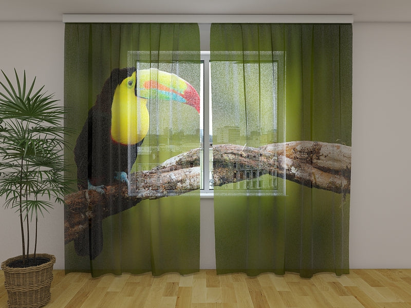 Photo Curtain Toucan on the Branch