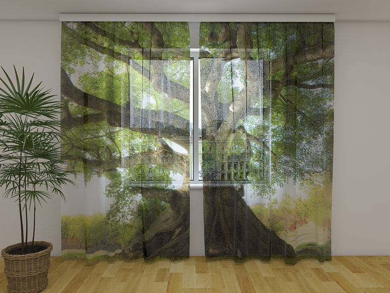 Rideau photo Arbre de Vie