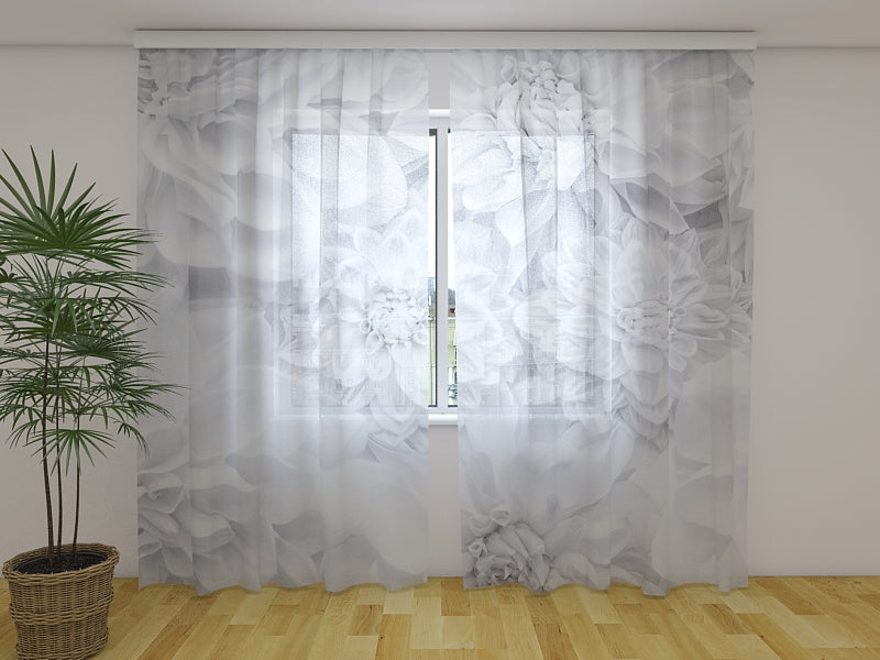 Photo Curtain White Dahlias