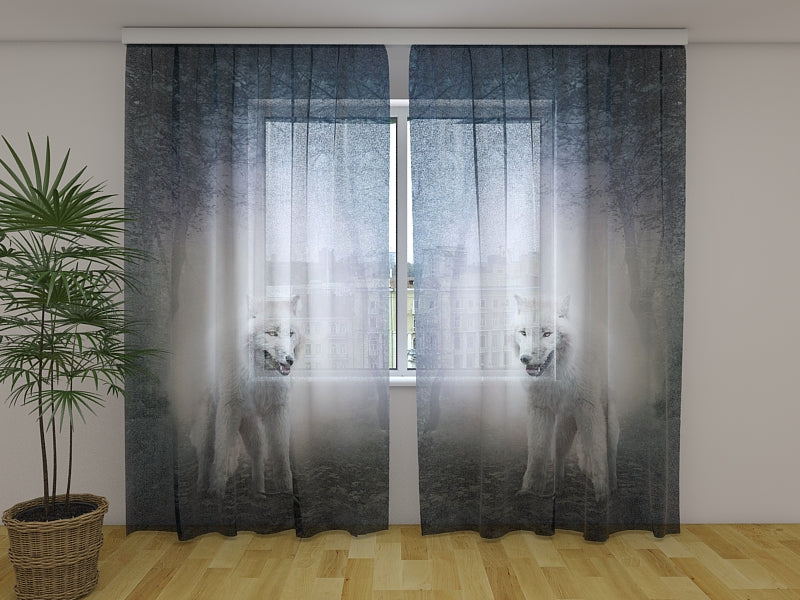 Photo Curtain White Wolf in the Night Forest