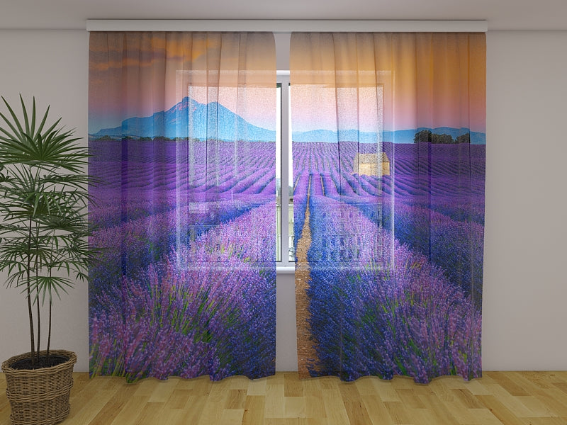 Rideau photo Merveilleux Champs de Lavande en Provence