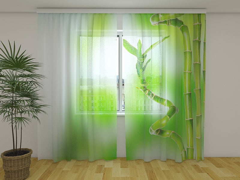 Photo Curtain Amazing Bamboo