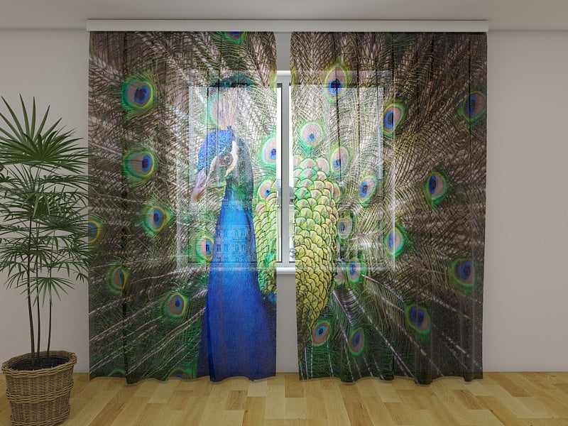 Photo Curtain Amazing Peacock