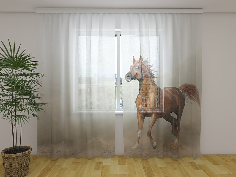 Photo Curtain Arabian Stallion in Prairies