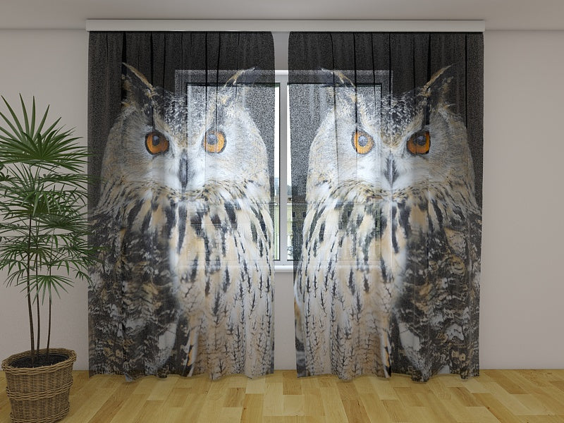 Photo Curtain Attentive Owl