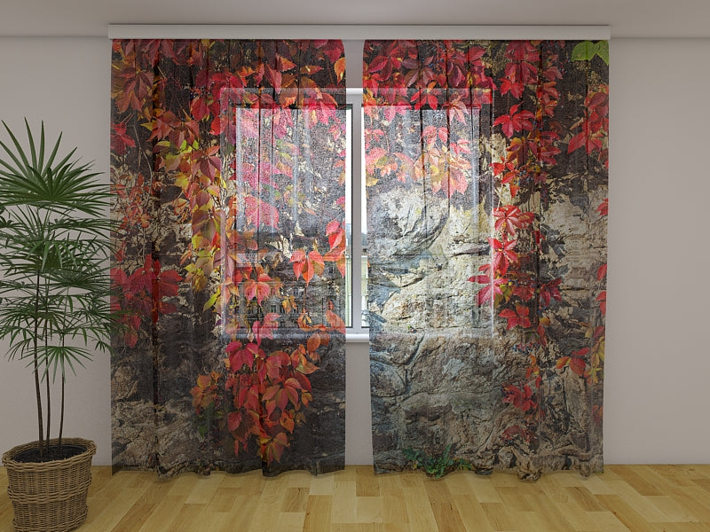 Photo Curtain Autumn Ivy