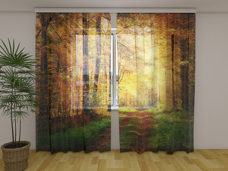 Rideau photo Route d'automne